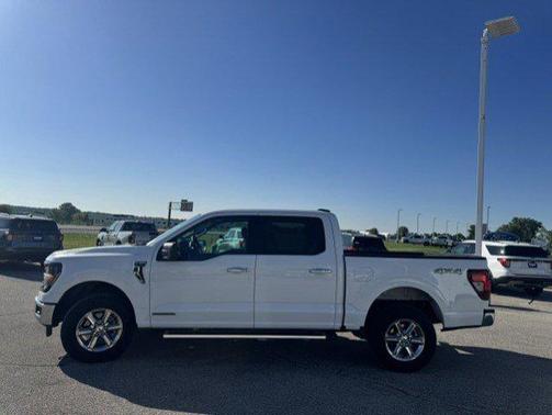 Oxford White 2025 Ford F-150 XLT