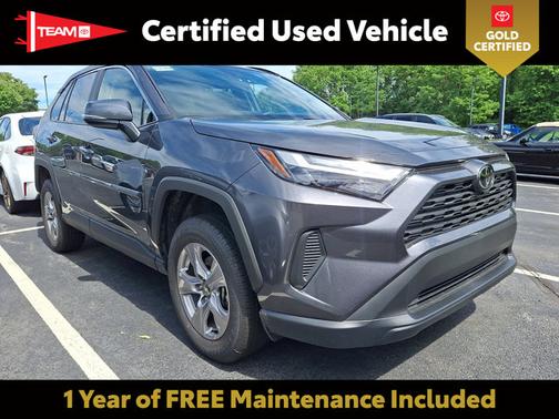 Magnetic Gray Metallic 2025 Toyota RAV4 XLE