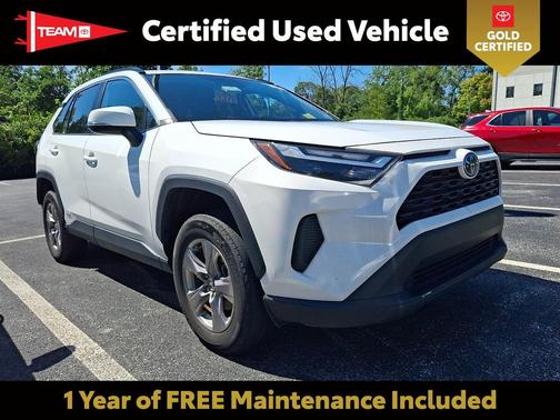 Ice Cap 2025 Toyota RAV4 Hybrid XLE