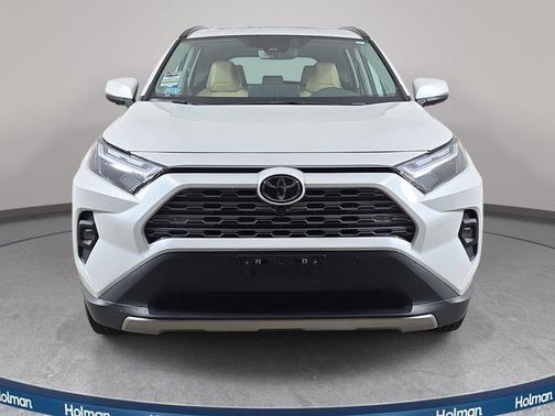 Ice 2025 Toyota RAV4 Limited