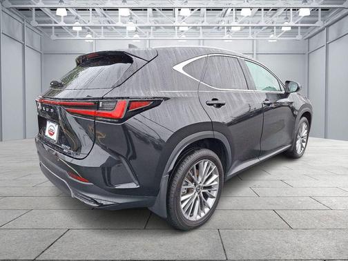 2024 Lexus NX 350 Luxury
