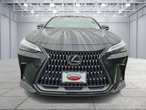 2024 Lexus NX 350 Luxury