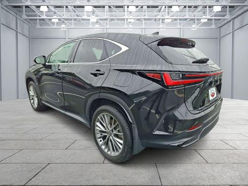 2024 Lexus NX 350 Luxury