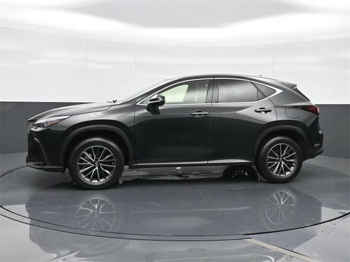 2023 Lexus NX 250 Base