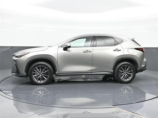 2024 Lexus NX 250 Base