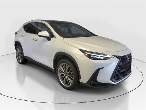 2023 Lexus NX 350h Luxury