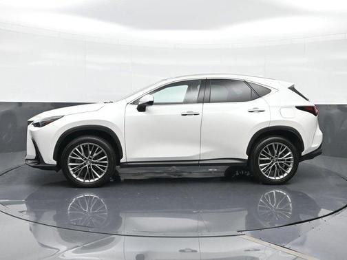 2023 Lexus NX 350h Luxury