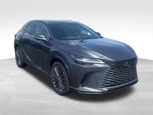 Cloudburst Gray 2025 Lexus RX 350 Luxury