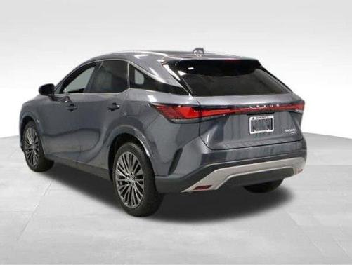 Cloudburst Gray 2025 Lexus RX 350 Luxury
