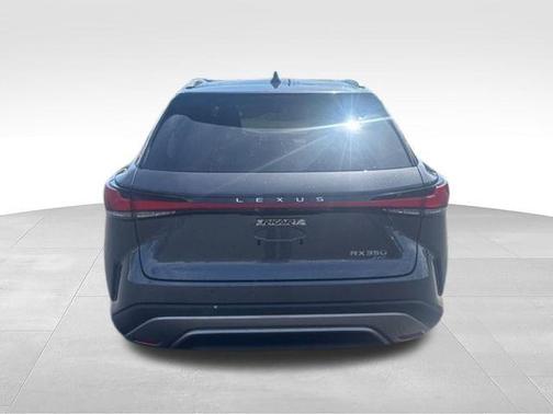 Cloudburst Gray 2025 Lexus RX 350 Luxury