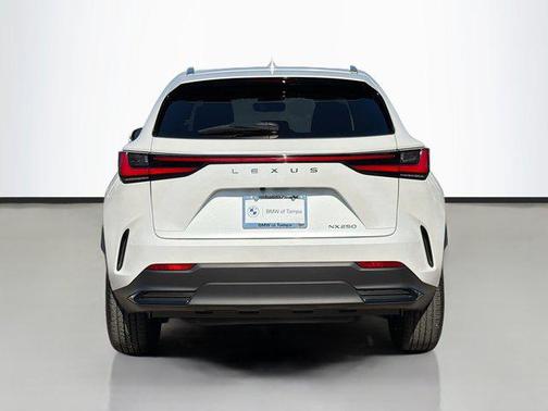 2024 Lexus NX 250 Base