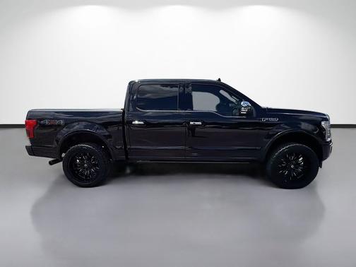 AGATE BLACK 2019 Ford F-150 Platinum