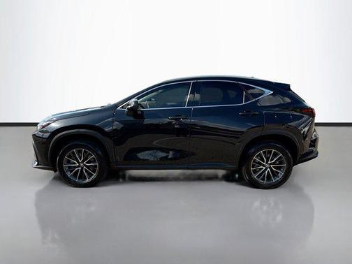 2024 Lexus NX 350 NX 350