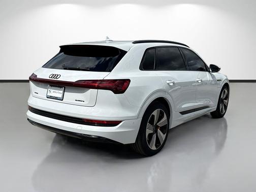 Glacier White Metallic 2022 Audi e-tron Premium Plus