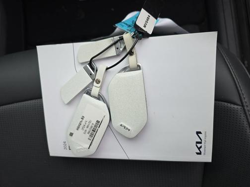Snow White Pearl 2024 Kia EV9 Light Long Range