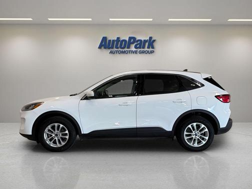Oxford White 2020 Ford Escape SE