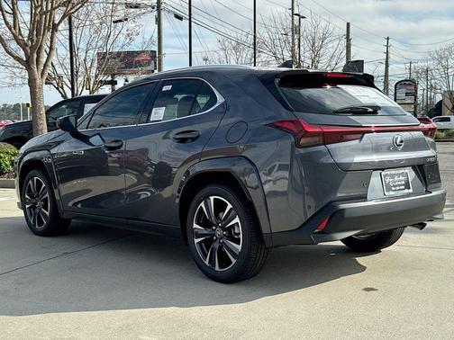2025 Lexus UX 300h Premium