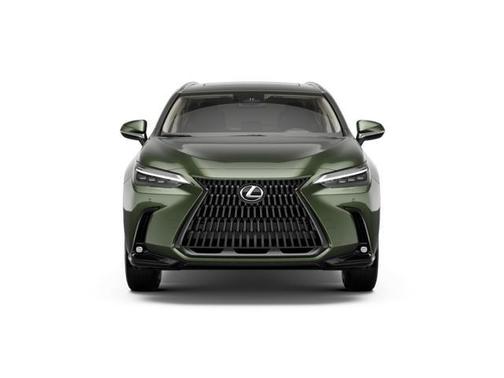 Nori Green Pearl 2026 Lexus NX 350 Luxury