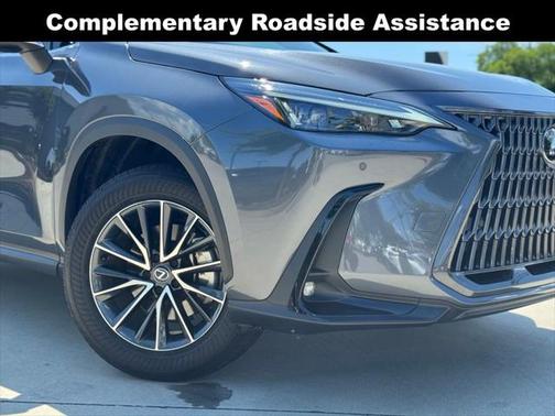2025 Lexus NX 250 Premium