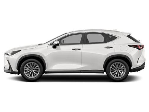 Cloudburst Gray 2022 Lexus NX 250 Base