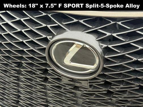 2019 Lexus NX 300 F Sport