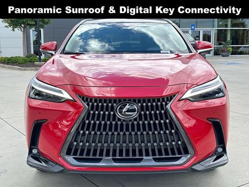 2025 Lexus NX 350 Luxury