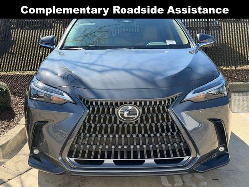 2025 Lexus NX 250 Base