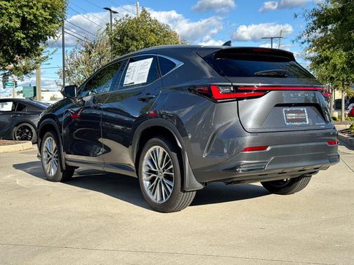 Cloudburst Gray 2025 Lexus NX 350 Premium