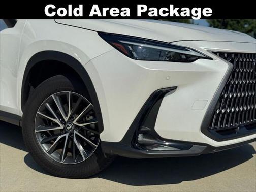 2024 Lexus NX 250 Premium
