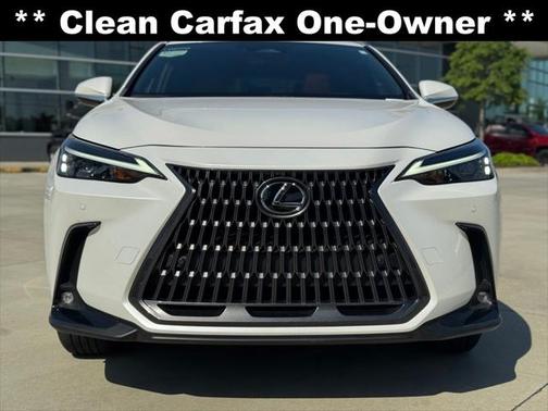 2024 Lexus NX 250 Premium