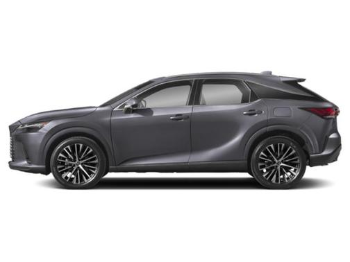 Nebula Gray Pearl 2023 Lexus RX 350 Premium Plus