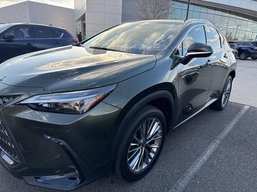 2023 Lexus NX 350h Premium