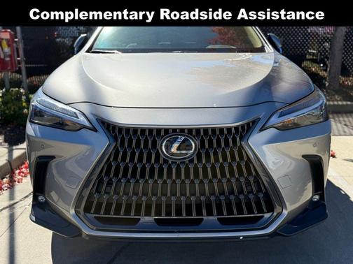 2025 Lexus NX 250 Premium