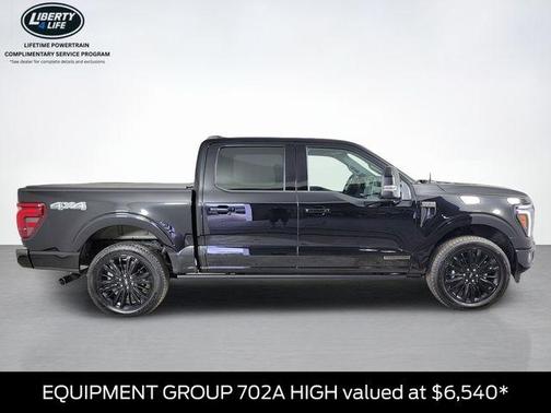 Agate Black Metallic 2025 Ford F-150 Platinum