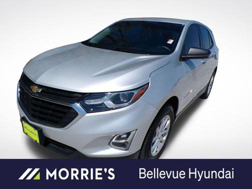Silver Ice Metallic 2019 Chevrolet Equinox LS