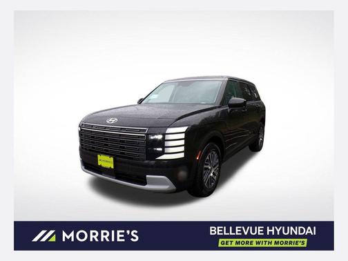 Abyss Black Pearl 2027 Hyundai PALISADE SEL
