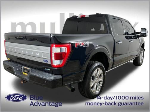 2021 Ford F-150 Platinum