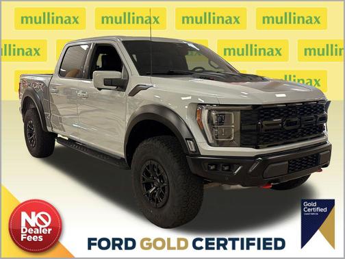 Avalanche 2023 Ford F-150 Raptor R