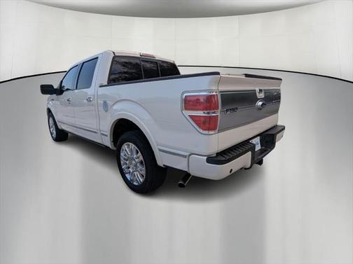 2009 Ford F-150 Platinum