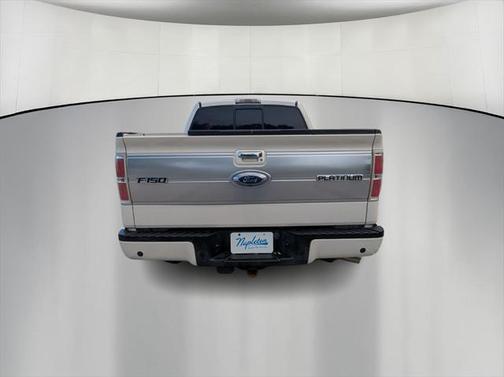 2009 Ford F-150 Platinum
