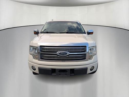 2009 Ford F-150 Platinum