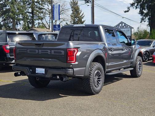 Magnetic Metallic 2020 Ford F-150 Raptor