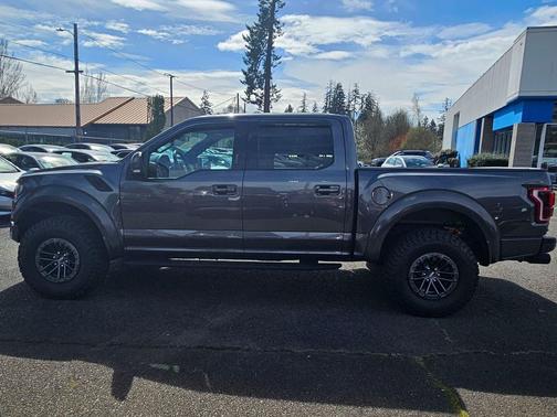 Magnetic Metallic 2020 Ford F-150 Raptor