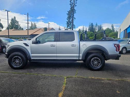 Ingot Silver Metallic 2019 Ford F-150 Raptor