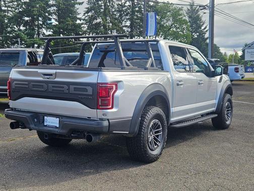 Ingot Silver Metallic 2019 Ford F-150 Raptor