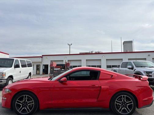 2019 Ford Mustang EcoBoost