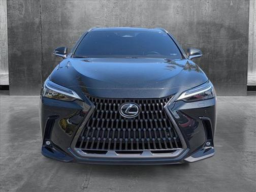 2024 Lexus NX 450h+ Luxury