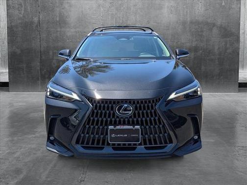 2024 Lexus NX 250 Base