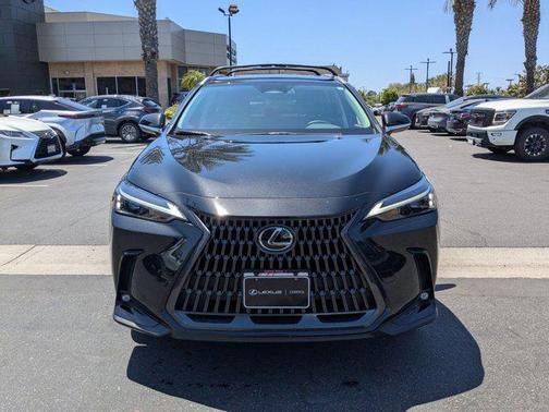 2024 Lexus NX 250 Base
