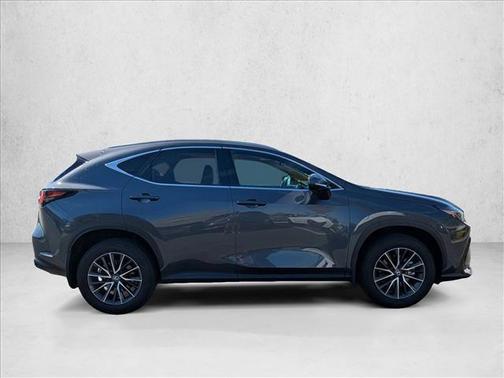 2025 Lexus NX 250 Premium